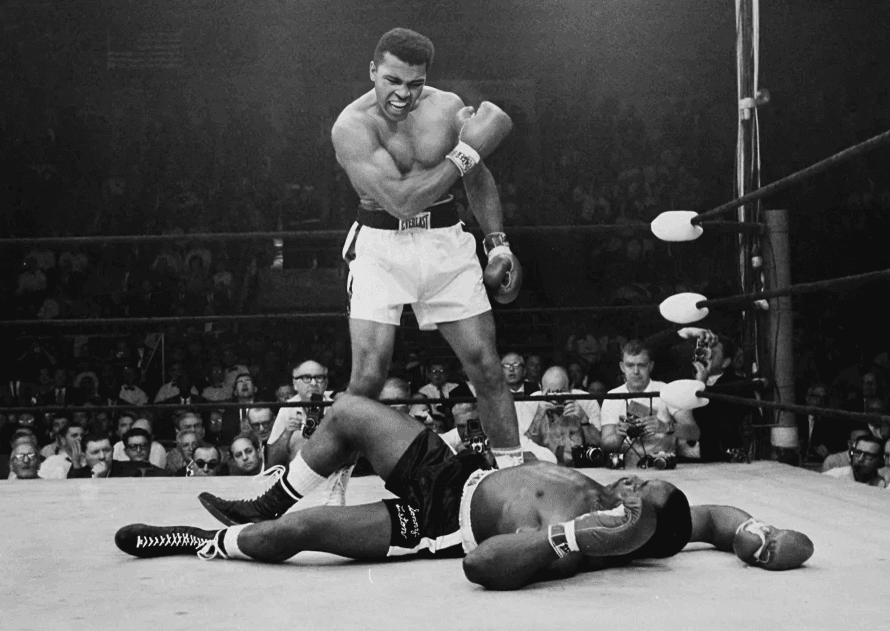 Top 10 countries with the most boxing world champions in history
