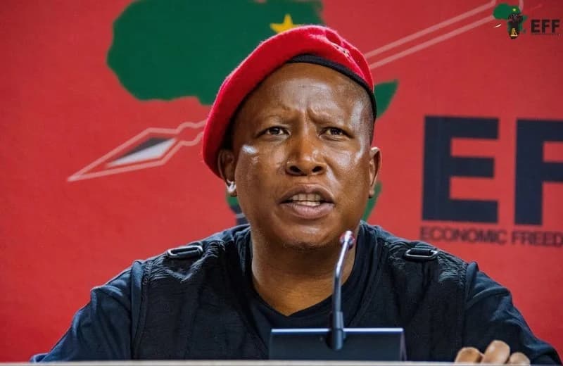 Julius Malema convicted, faces 15-year prison sentence