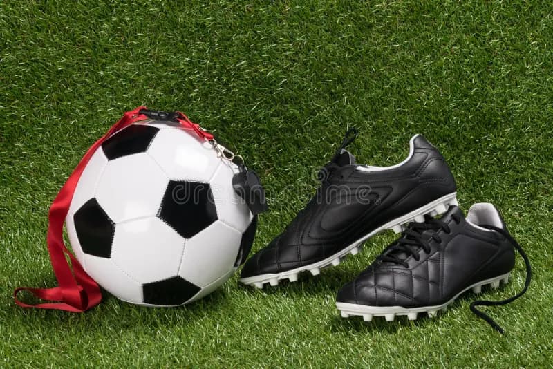 Turkey arrests 8, probes 1,024 players in betting scandal