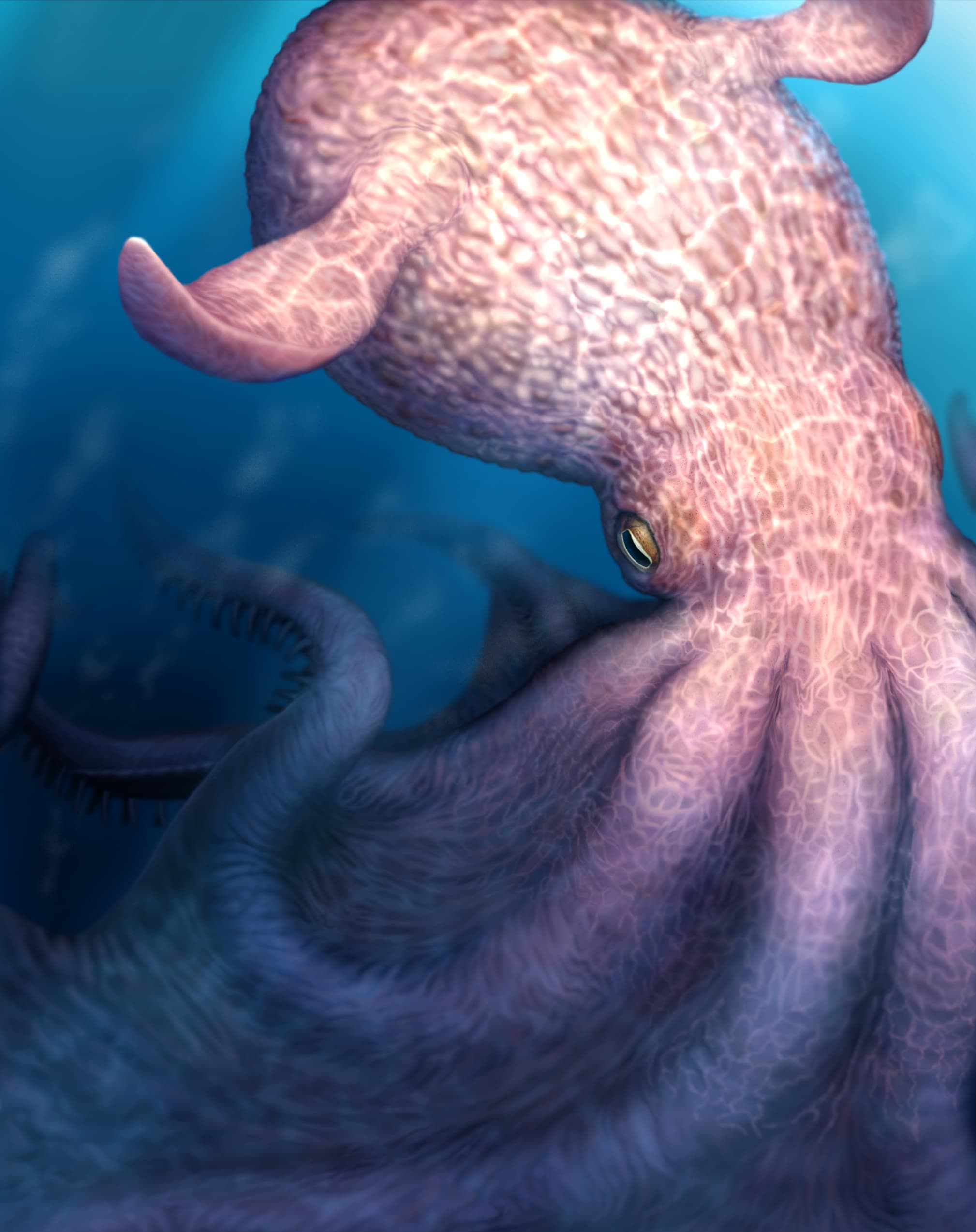 How climate change is affecting octopus population worldwide