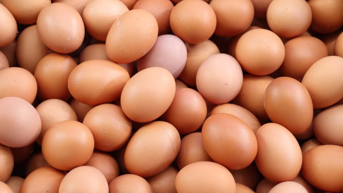6 potential health benefits of eating eggs regularly